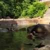 川の温泉