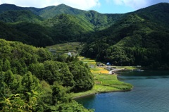 湖畔の風景