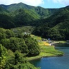 湖畔の風景