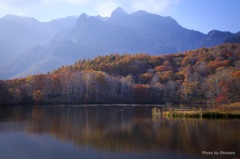 晩秋の鏡池