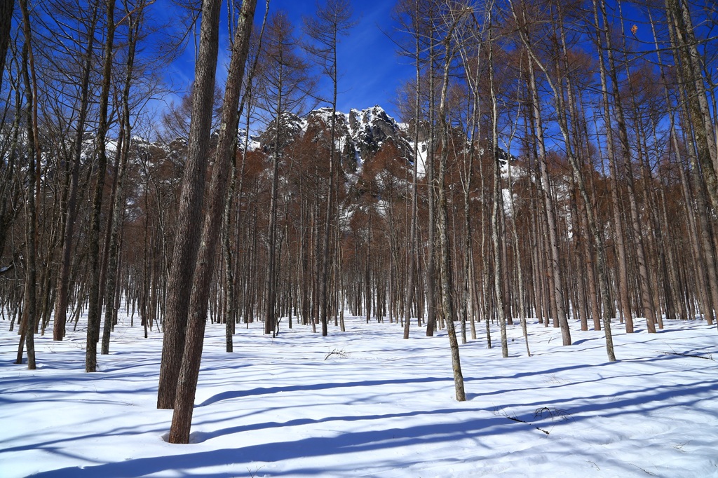 神々の山　４
