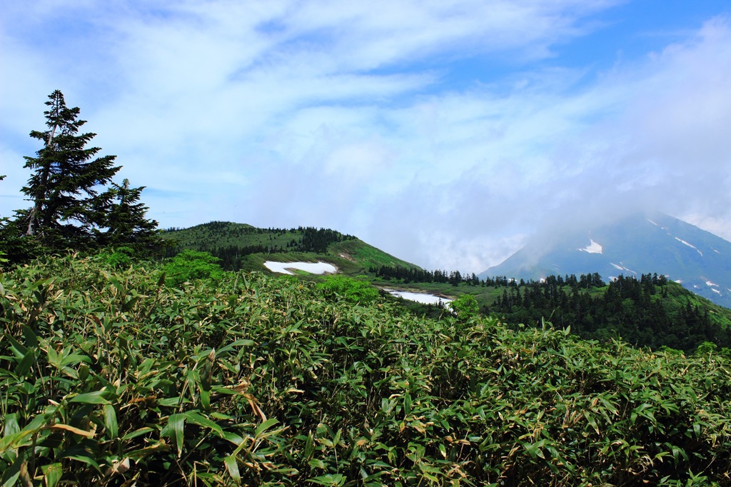 金山、天狗原山１