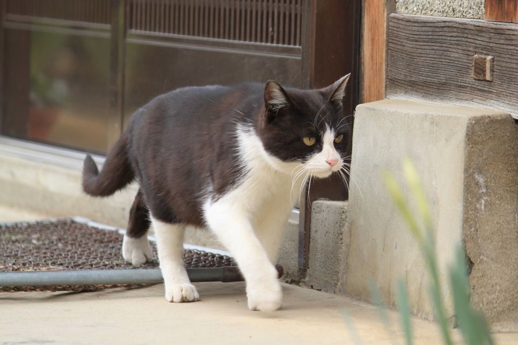 在りし日の砂治郎