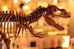 T.rex