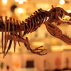T.rex