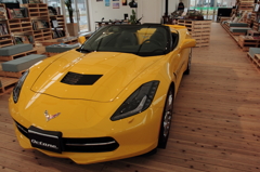 new CORVETTE  