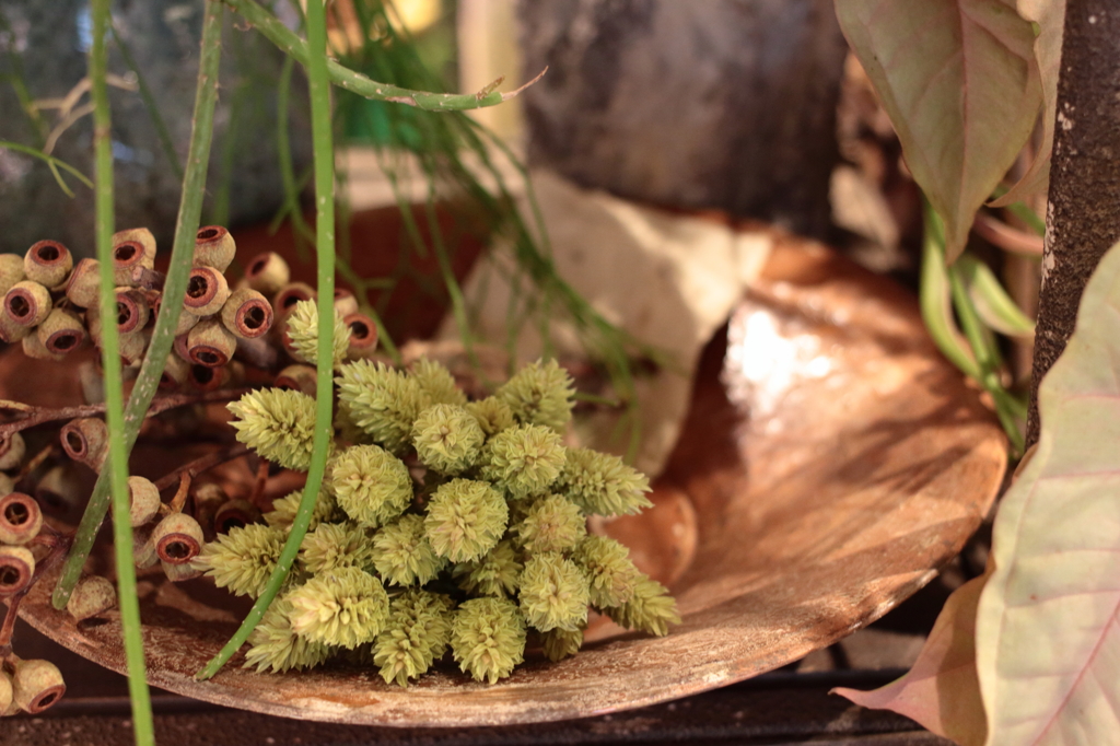 Dried frower