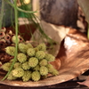 Dried frower