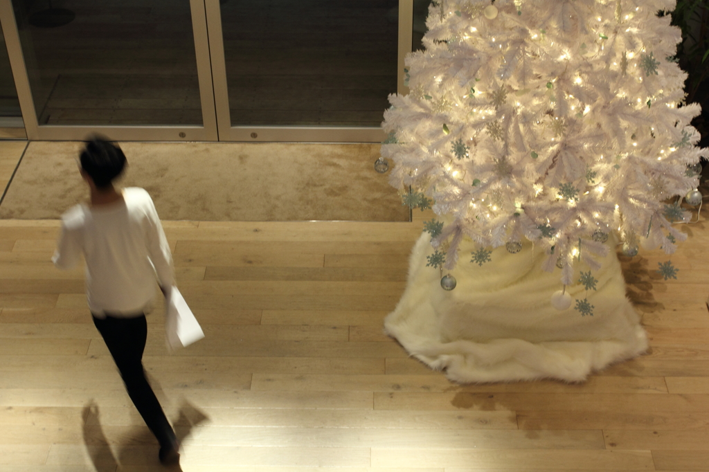 man with christmas tree