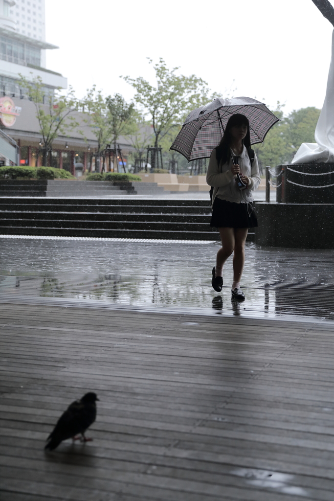 rainyday