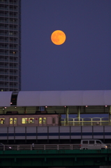 Tokyo Blue moon