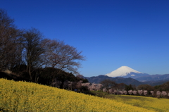 抜けるような青空と