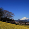 抜けるような青空と