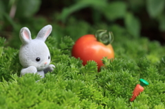 わぉ！ニンジンだ！
