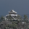 冬の松江城