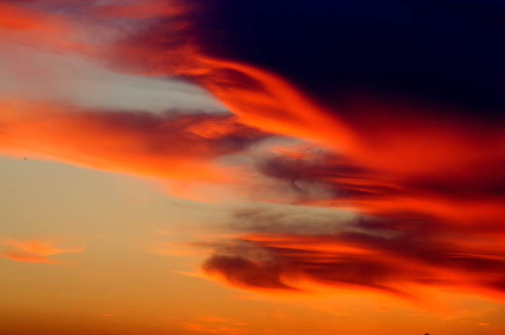 鳳凰雲
