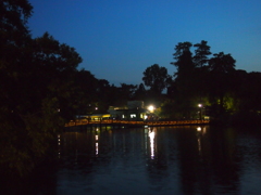 宵闇の池