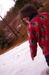 初めての雪