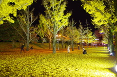 IMGP2657