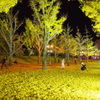 IMGP2657