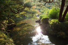 池に沈む日