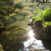 池に沈む日