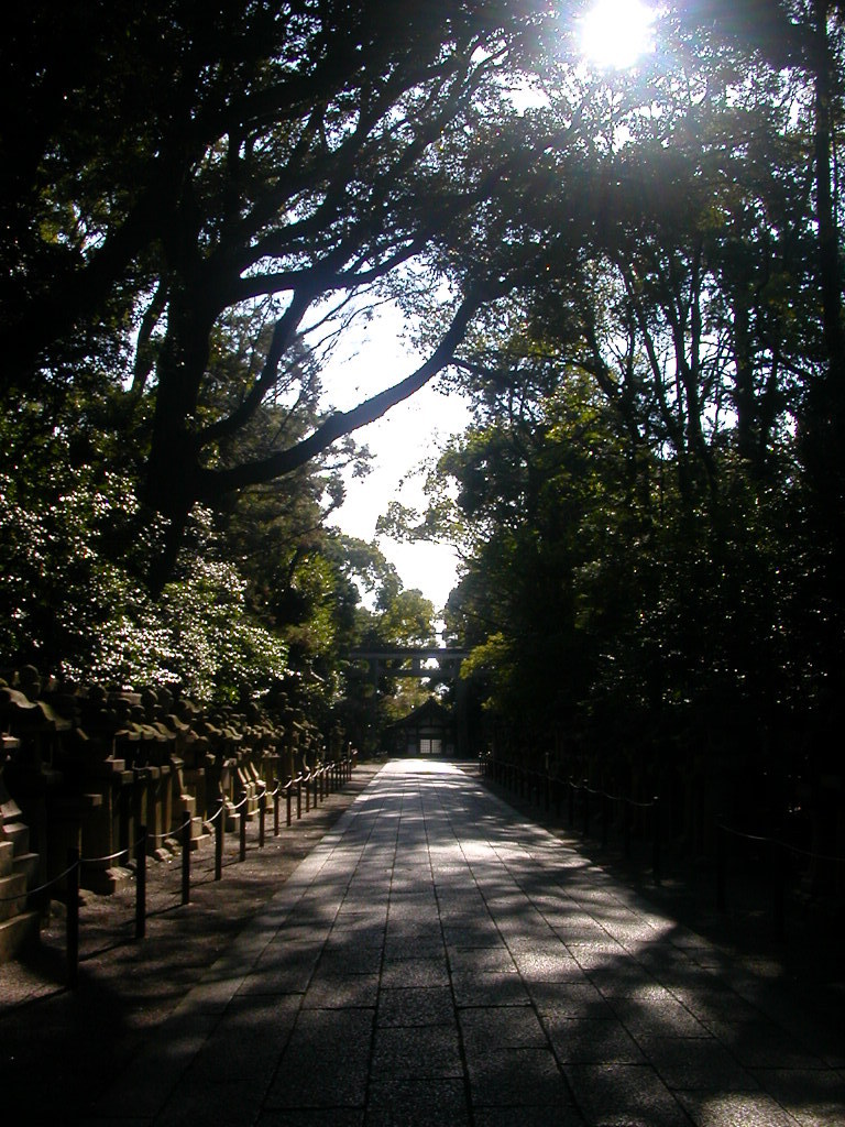 神社っぽいところ