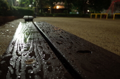 雨上がりの公園
