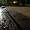 雨上がりの公園