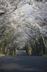 終わって欲しくないトンネル