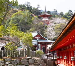 宮島３