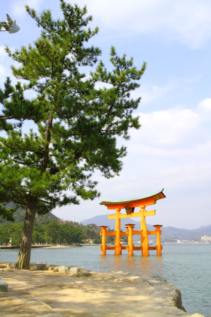 春の宮島