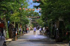 夏の阿蘇