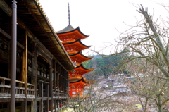 五重塔