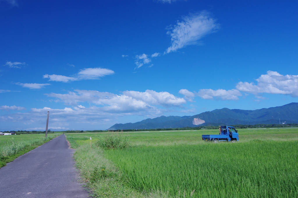 青い車