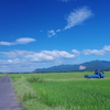 畑、田んぼ