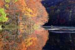 ズームインナウ