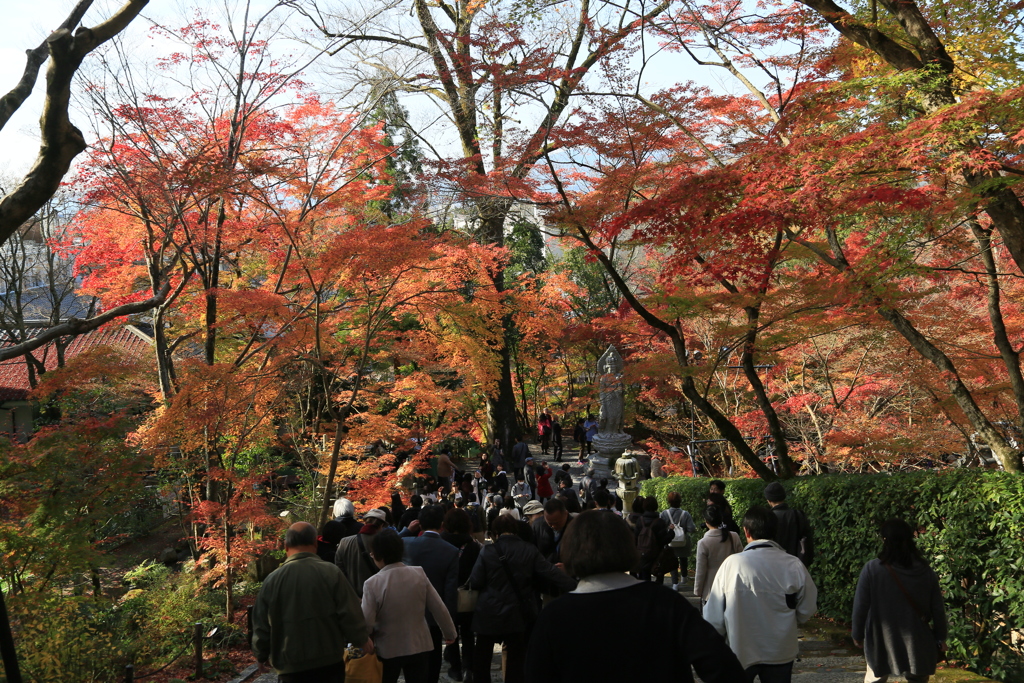 遊山なう