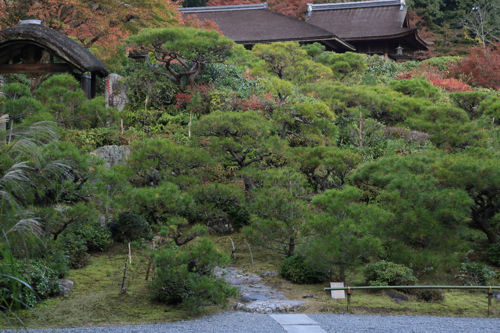 ←garden houseなう