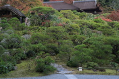 ←garden houseなう