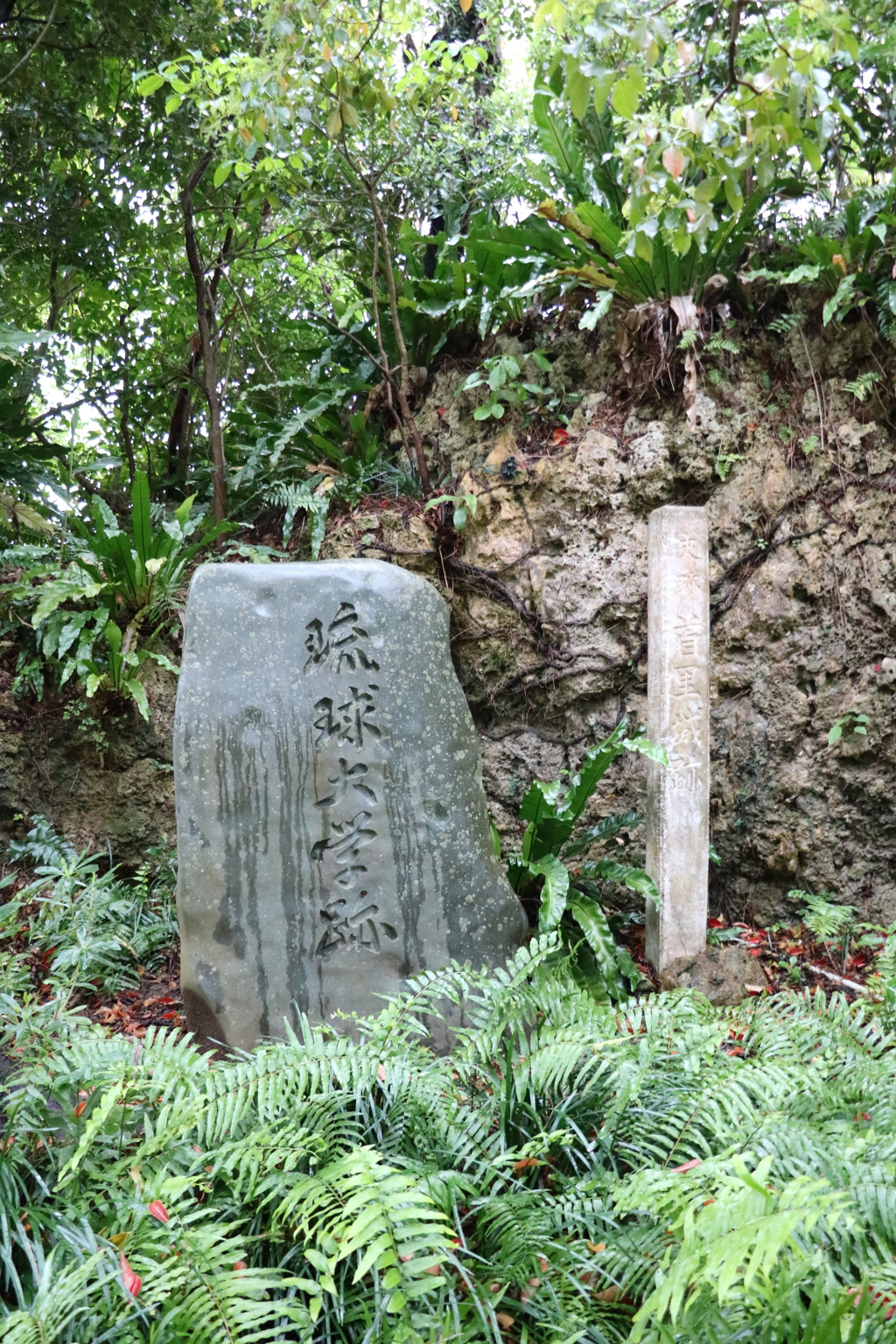 琉球大学跡碑なう