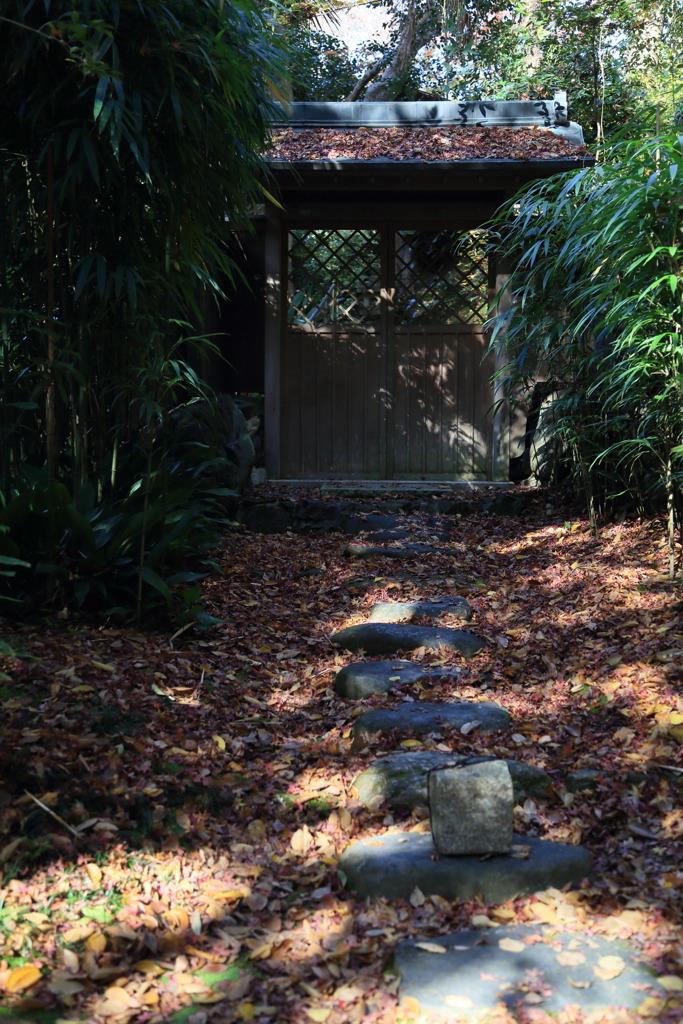 東屋なう