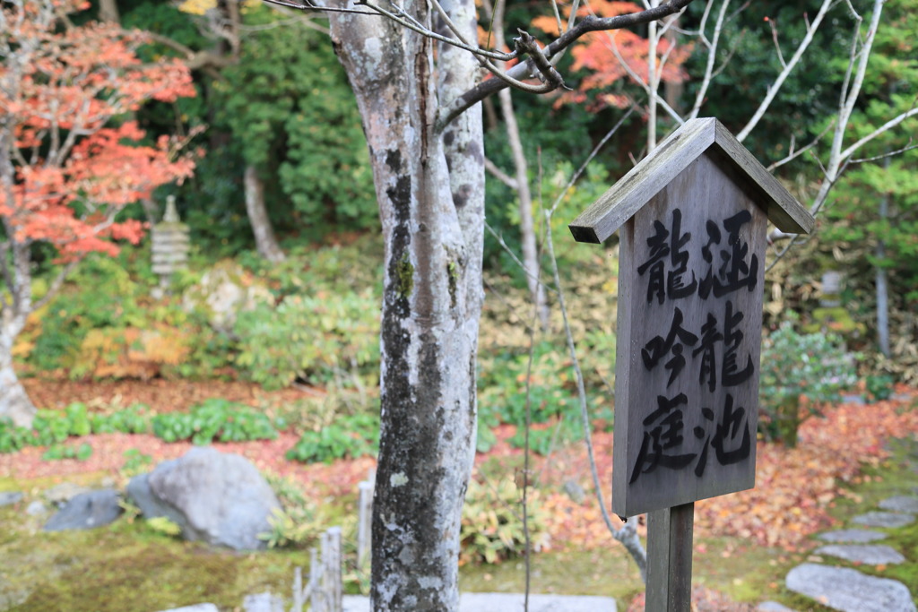 龍吟庭なう