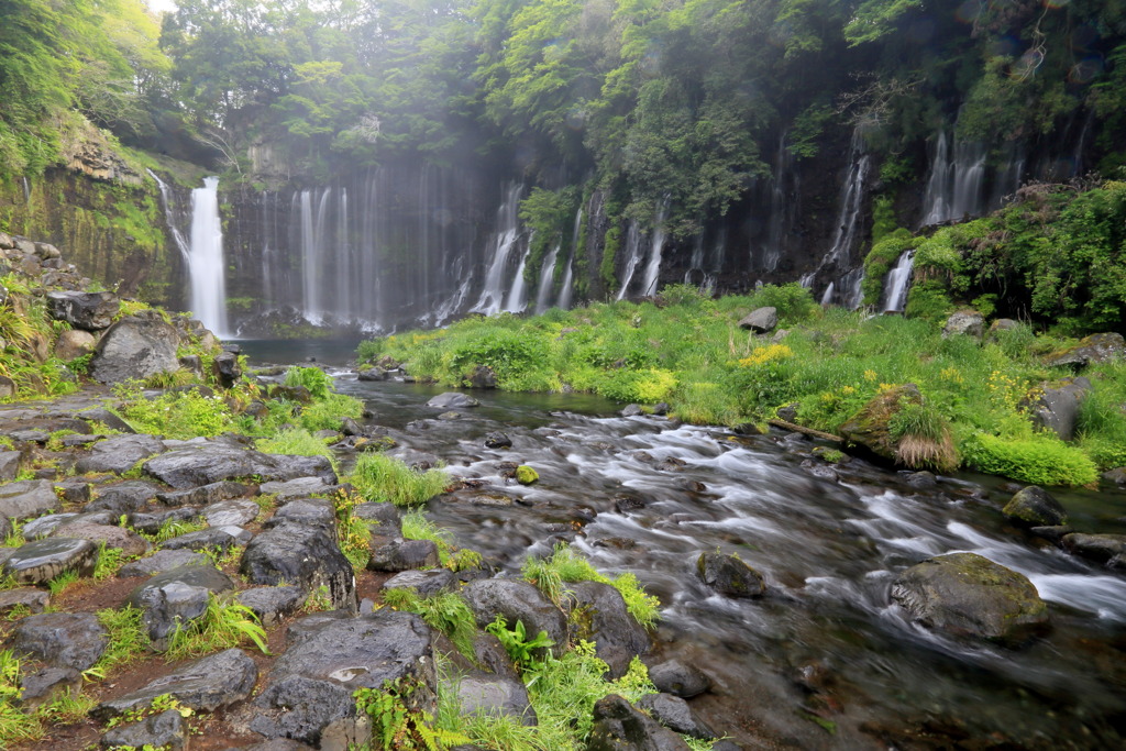 さらに引き気味なう