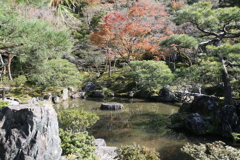 池なう