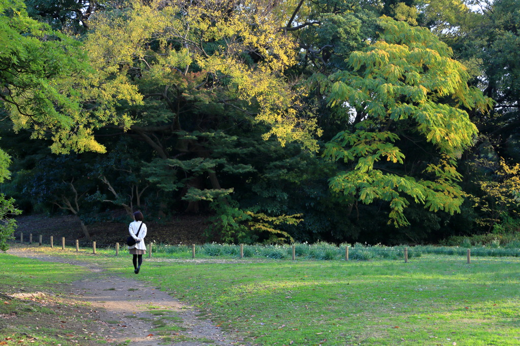 ウォーキングなう