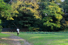 ウォーキングなう