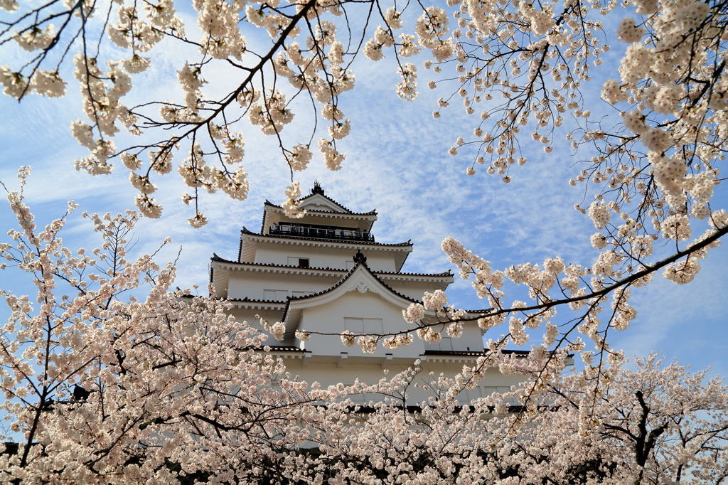 晴れ模様なう