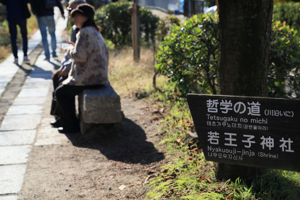 哲学の道なう