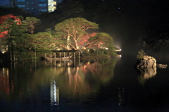 ライトアップなう